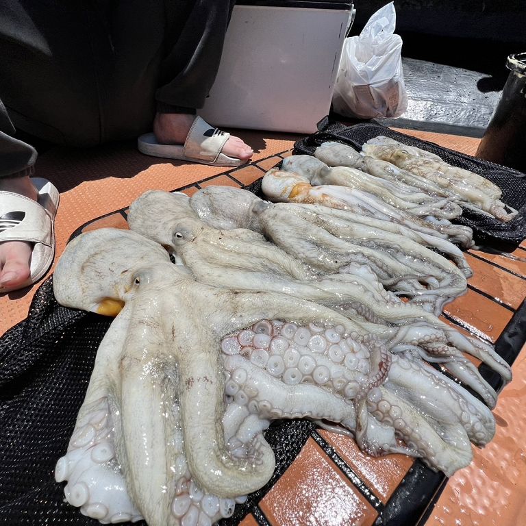 釣果・今週のベストショット!
