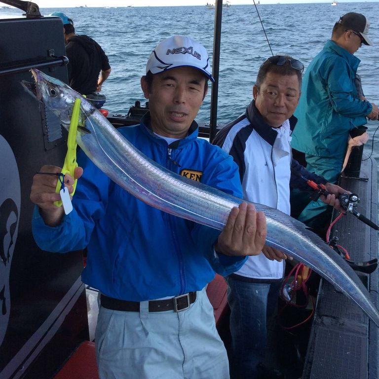 IU様は10匹のタチウオ釣果